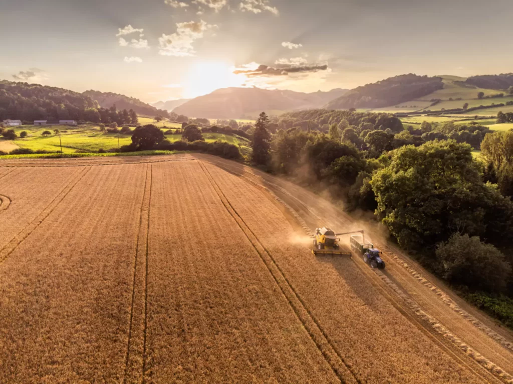 llandrindod wells photographer